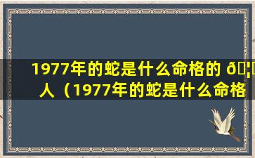 1977年的蛇是什么命格的 🦉 人（1977年的蛇是什么命格的人 🌼 呢）